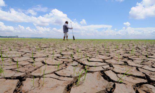 Seceta afecteaza mii de hectare de teren, Foto: Reuters