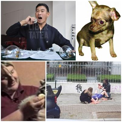 faze tari, Foto: Colaj foto