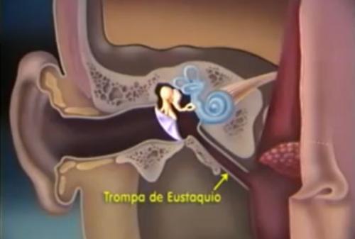 Infectiile urechii pot duce la surditate Captura, Foto: Captura Youtube.com