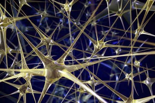 Retea neuronala, Foto: Flickr