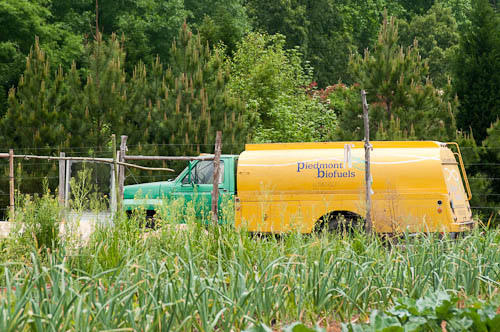 Biocombustibil, Foto: Reuters