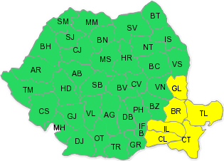 Cod galben, Foto: ANM