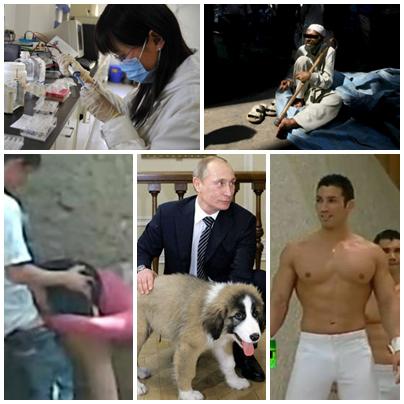 Faze tari, Foto: Colaj foto