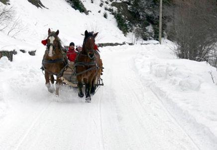 Sarbatori la tara, Foto: Agerpres