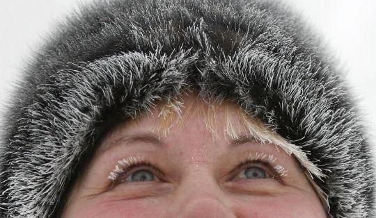 Mereu gravida, Foto: Reuters