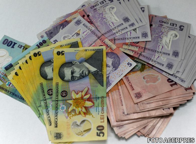 Leul romanesc , Foto: Agerpres