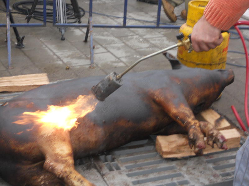 Pomana porcului, Foto: USER UPLOADED