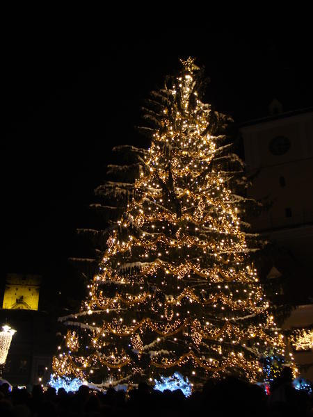 Bradul de Craciun, Foto: USER UPLOADED