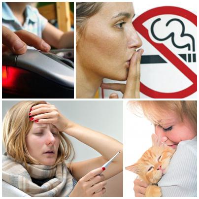 Utile, Foto: Colaj foto