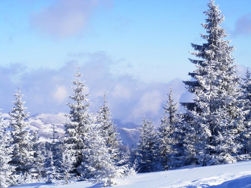 Poza cu zapada, Foto: USER UPLOADED