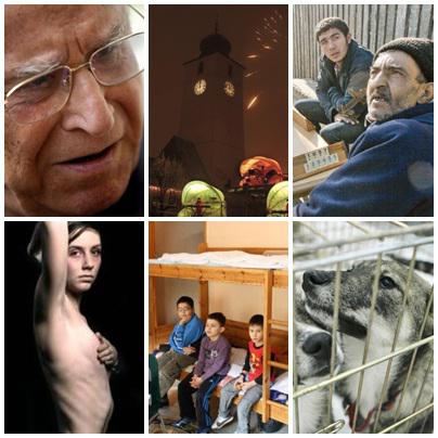 subiectele zilei, Foto: Colaj foto