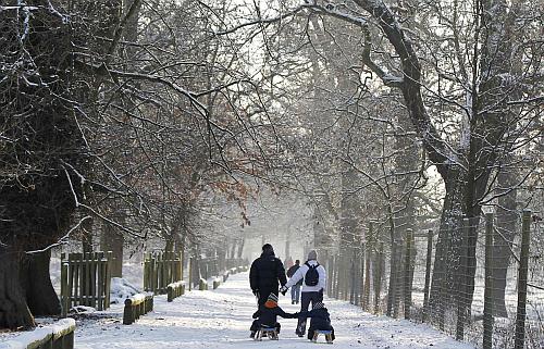 Intre a avea si a nu avea copii , Foto: Reuters