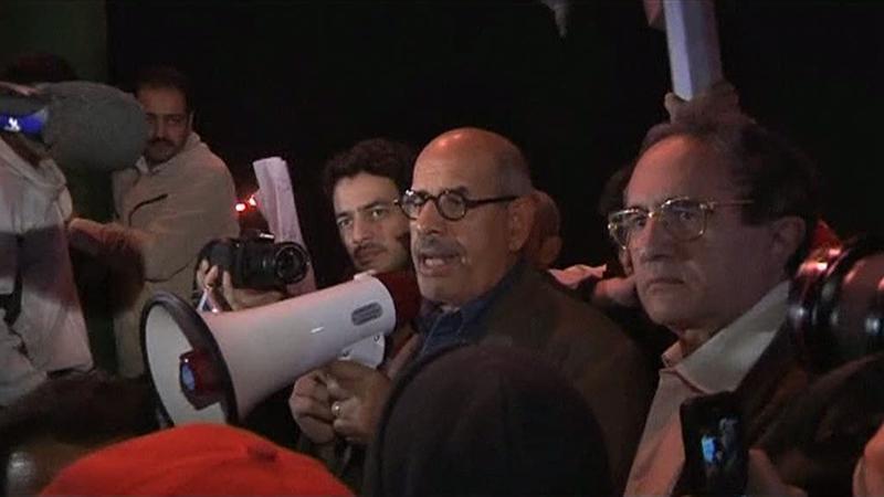 Mohamed ElBaradei, in mijlocul protestatarilor, Foto: Reuters