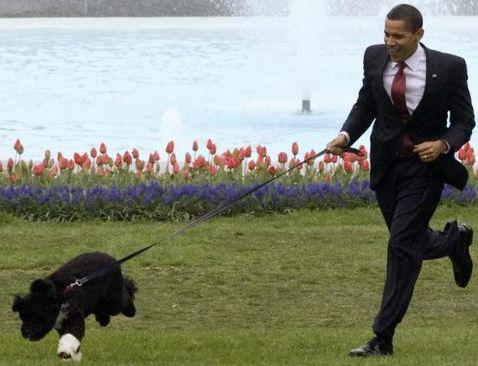 Obama si cainele sau, Foto: Reuters