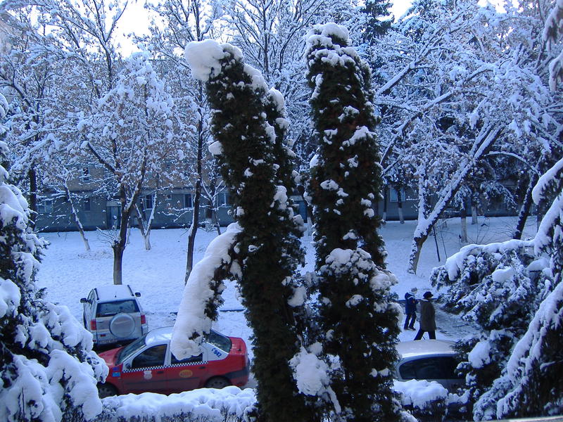 iarna privita din geam, Foto: USER UPLOADED