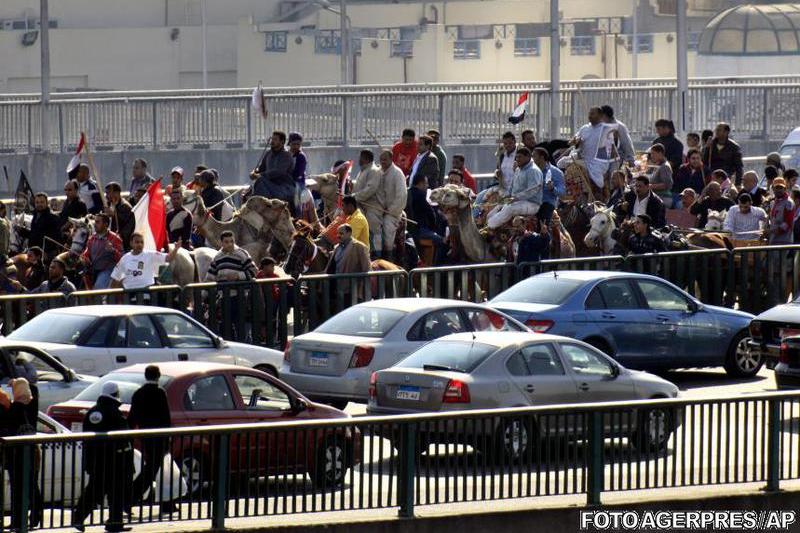 Demonstranti pe camile, Foto: Agerpres