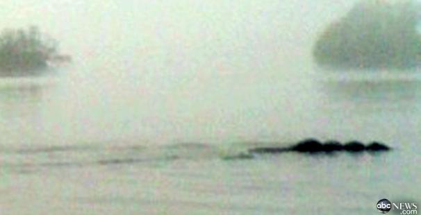 Dovada existentei lui Bownessie?, Foto: Captura ABC