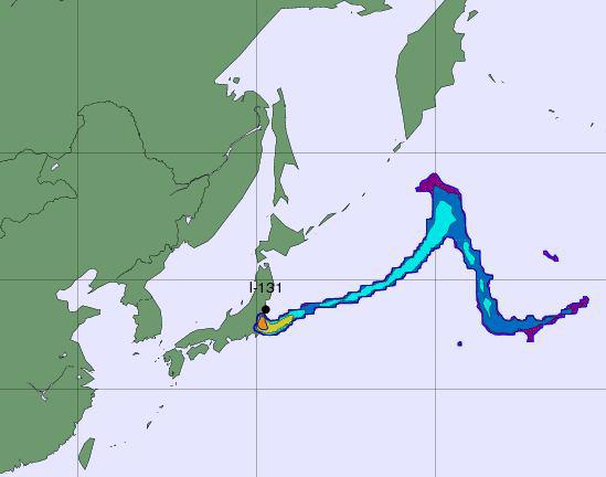 Evolutia norului, Foto: captura foto