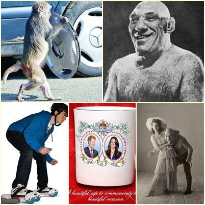 O lume nebuna, Foto: Colaj foto