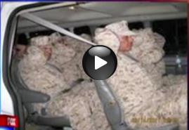 Incident in California, Foto: Captura LiveLeak