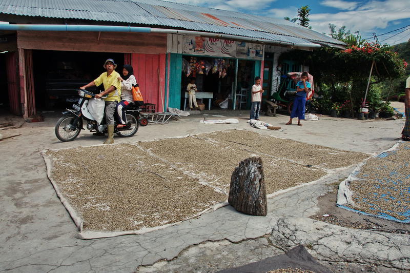 Sumatra Takengon Lake Tawar, Foto: tedoo.ro
