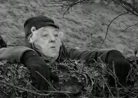 D-soara Marple, Foto: Captura Youtube.com