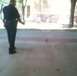 Ofiterul si veverita, Foto: Captura YouTube