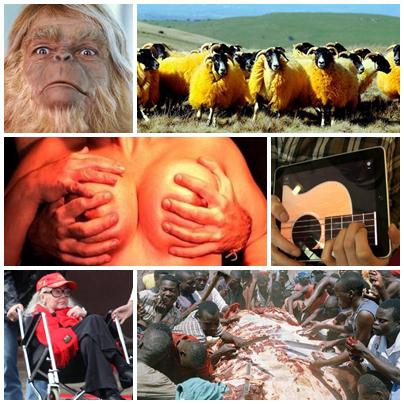 Faze Tari, Foto: Colaj foto