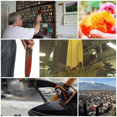 Faze Tari, Foto: Colaj foto