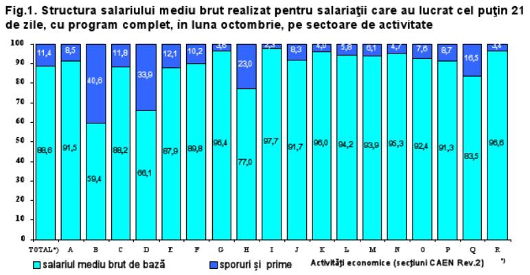 Structura salariului mediu brut din diferite sectoare economice, Foto: INS