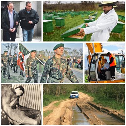 Subiectele Zilei, Foto: Colaj foto