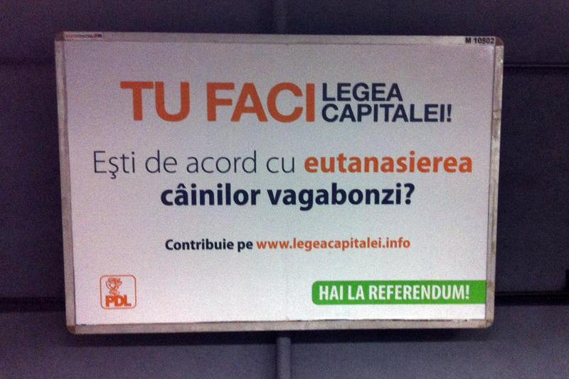 Campanie PDL de promovare a referendumului si a Legii Capitalei, Foto: Hotnews