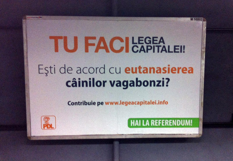 Campanie PDL de promovare a referendumului si a Legii Capitalei, Foto: Hotnews