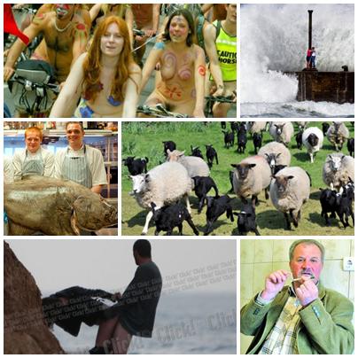 Faze Tari, Foto: Colaj foto