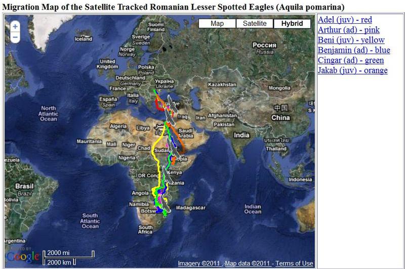 Harta migratiei celor sase pasari, Foto: pomarina.ro