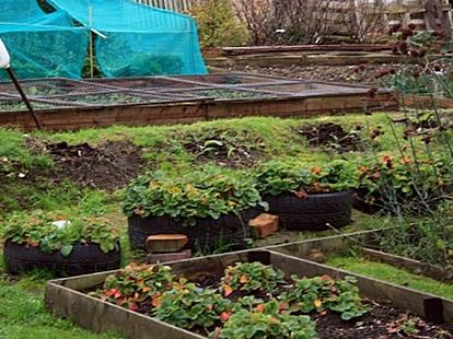 Gradini englezesti, Foto: Arhiva personala