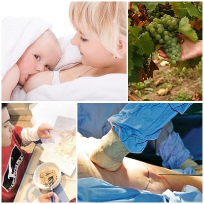 Utile, Foto: Colaj foto