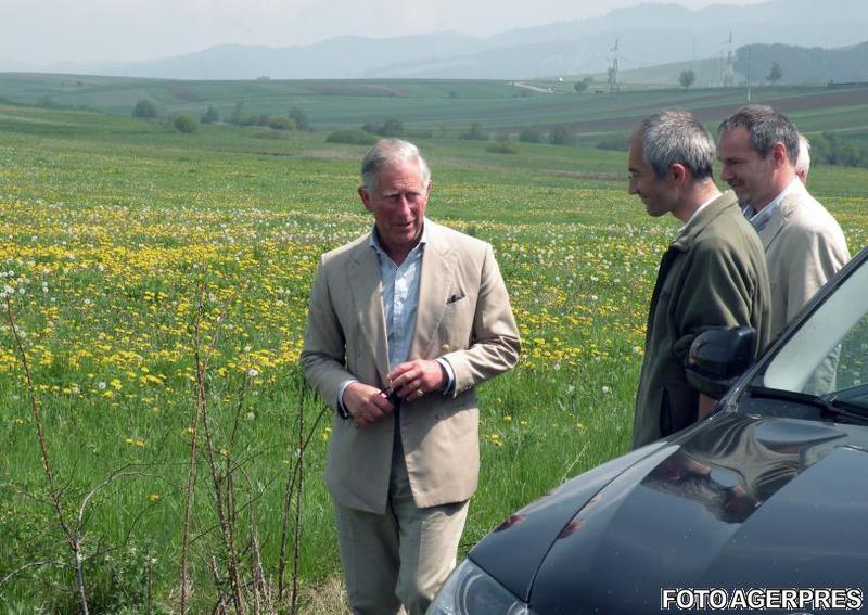 Printul Charles la Delnita, Foto: Agerpres