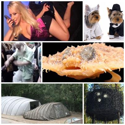 Faze Tari, Foto: Colaj foto