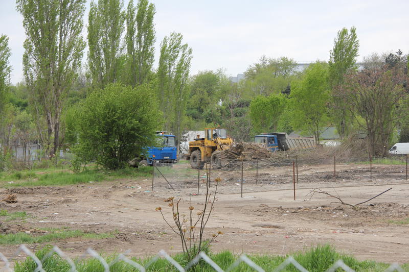 Defrisare Parcul Tineretului, Foto: Hotnews