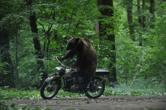 Imagine din "Ursul", Foto: Transilvania Film