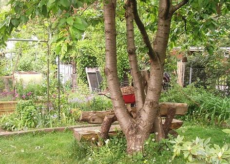 Gradinile germane, Foto: Arhiva personala