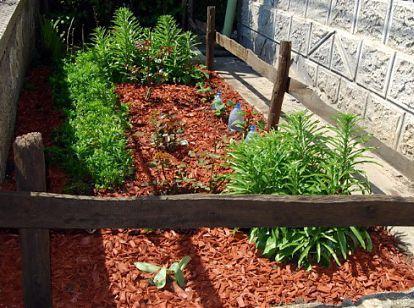 Suprafata acoperita cu mulci de lemn, Foto: Arhiva personala