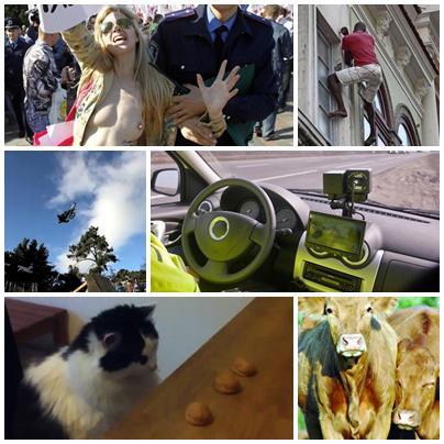 Faze Tari, Foto: Colaj foto