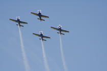 Iacarii Acrobati - Fly In 2008, Foto: Hotnews