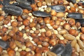 Alimente sanatoase, Foto: wikifood.ro