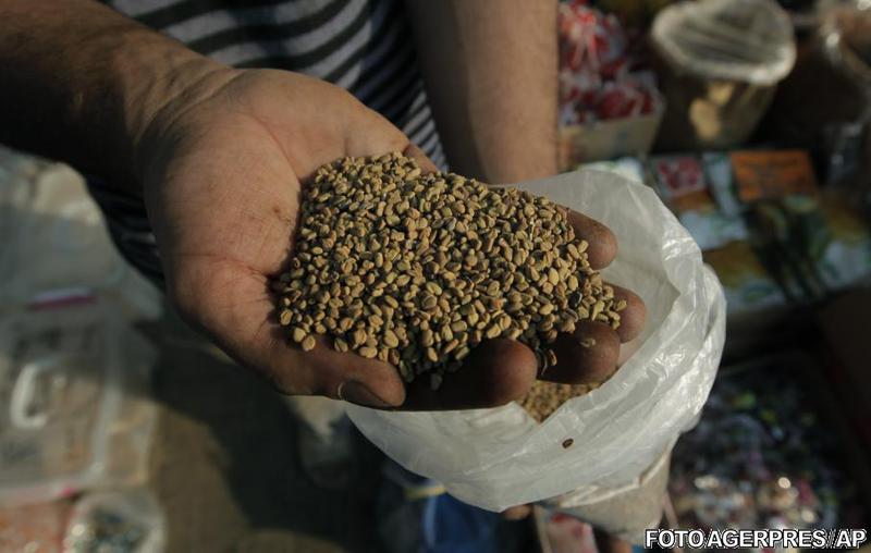 Seminte de schinduf, vandute in Egipt, Foto: Agerpres/AP