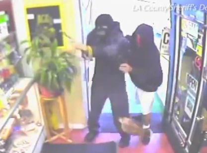 Un catel curajos, Foto: Captura LiveLeak