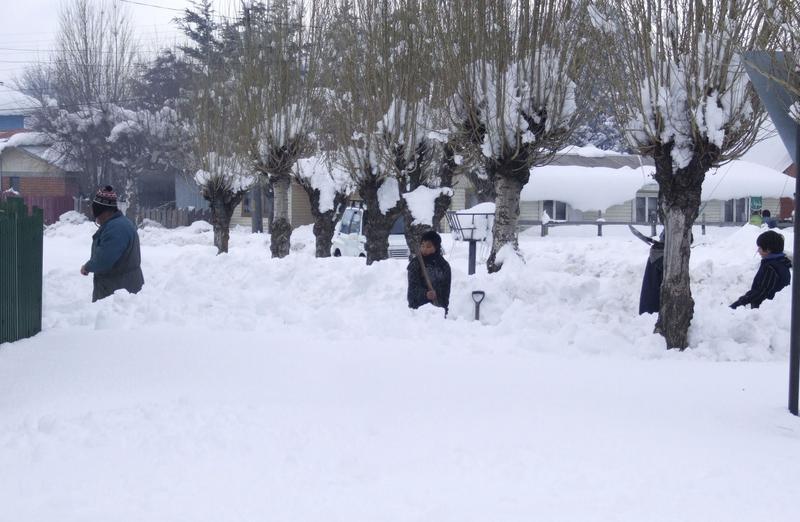 Caderi de zapada in Chile, Foto: Reuters