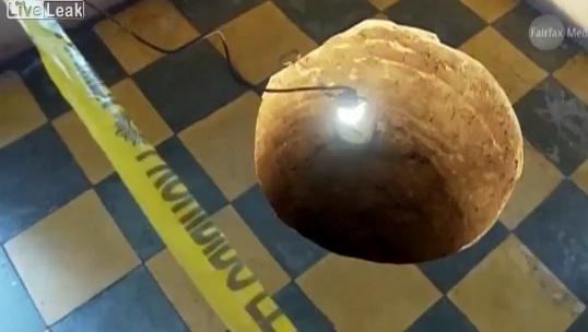 Gaura a aparut sub pat, Foto: Captura LiveLeak